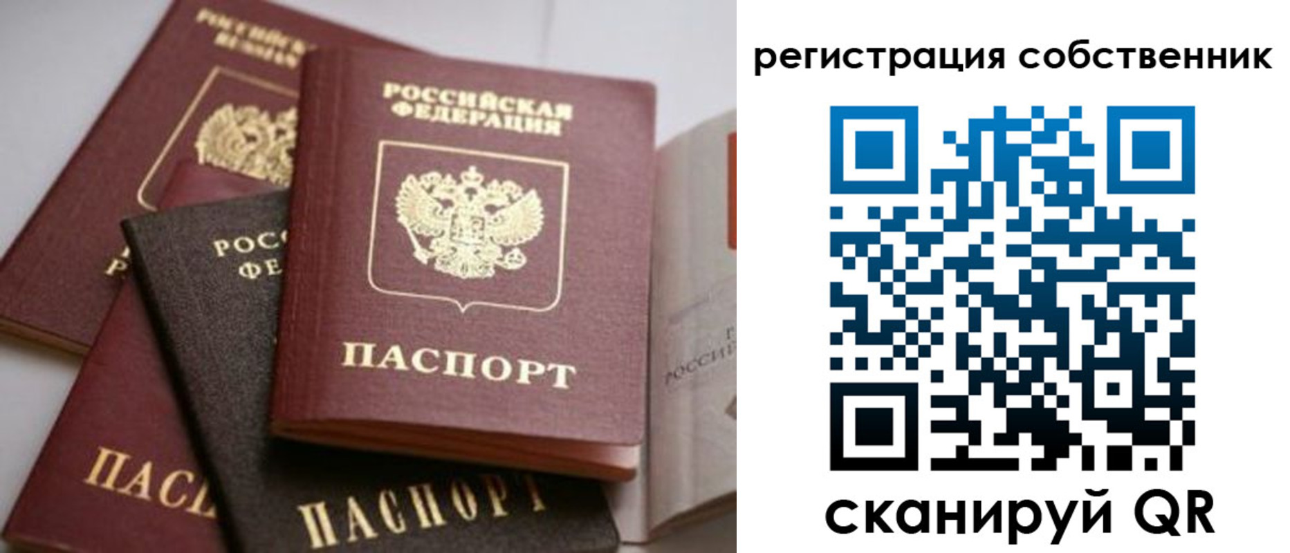 временная регистрация поиск в Елабуге